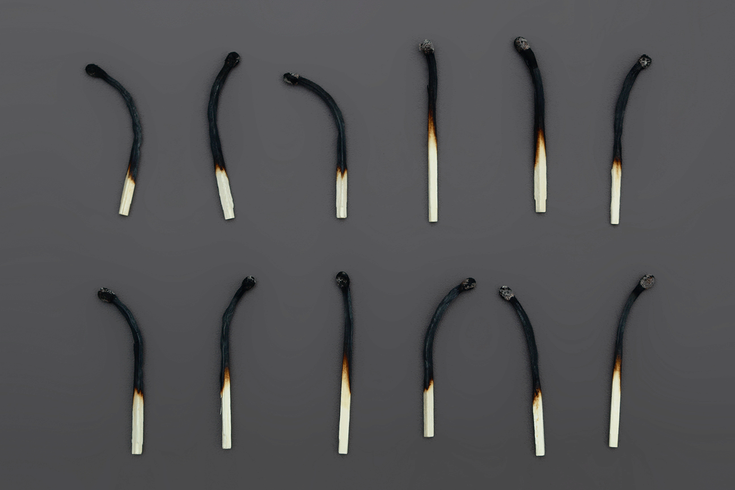 12 matches are half burnt and laid out in two rows on a gray background.